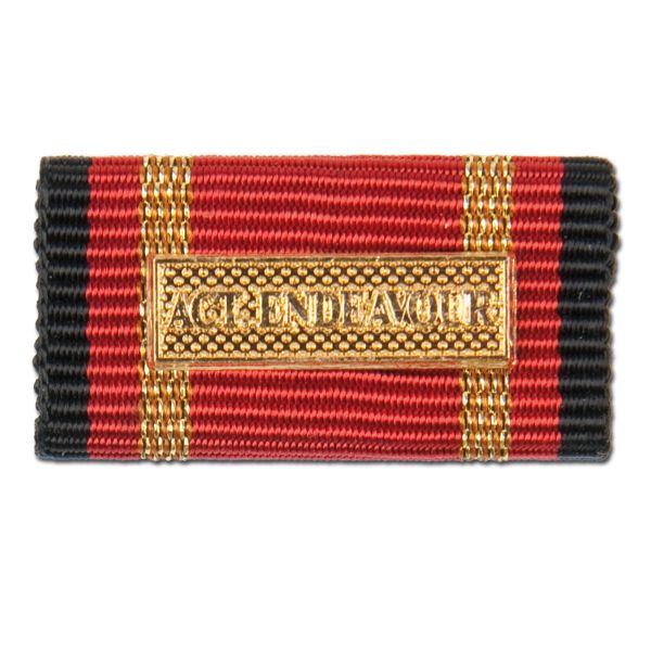 Medalla al servicio Active Endeavour dorada