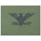 Insignia de rango US Textil Colonel verde oliva izquierda