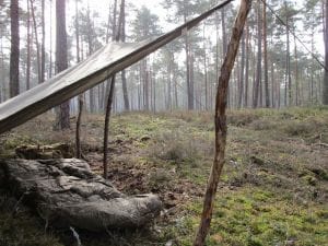 Shelter im Fichtenwald