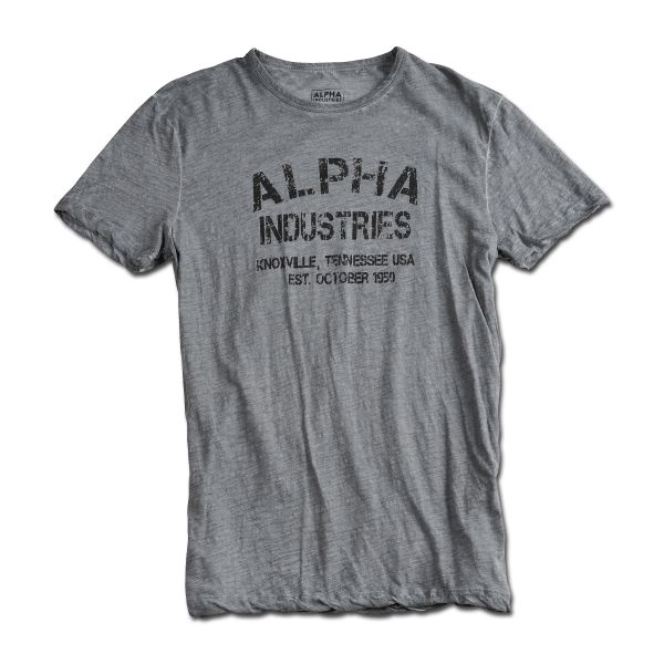 Camiseta Alpha Industries Desert War gris