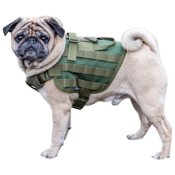 Primal Gear Arnés para perro Light Dog Harness oliva