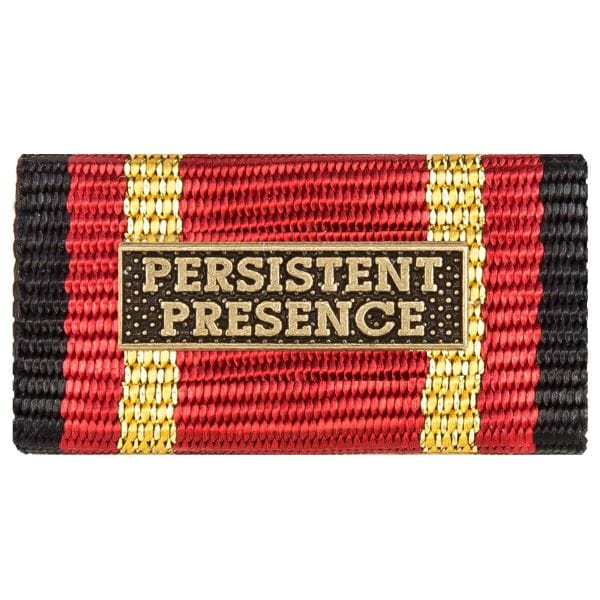 Medalla al servicio PERSISTENT PRESENCE color bronce