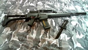 Ares G36k