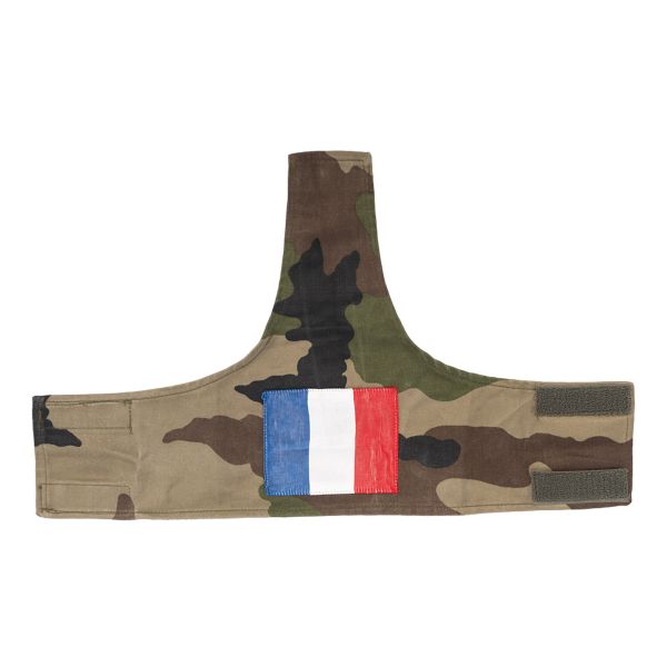 Organizador francés para el hombro con bandera Tarn CCE usado