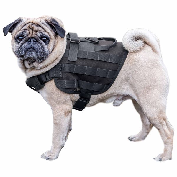 Primal Gear Arnés para perro Light Dog Harness negro