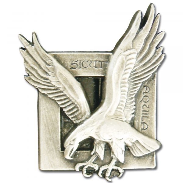 Distintivo francés Commandos de l'air