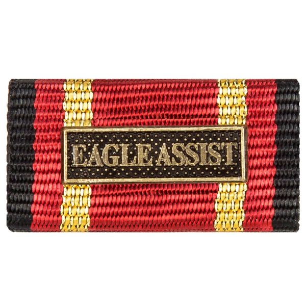Medalla al servicio Eagle Assist bronce