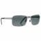 Gafas Revision Deltawing polarized